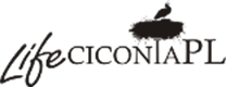 lifeciconia pl logo